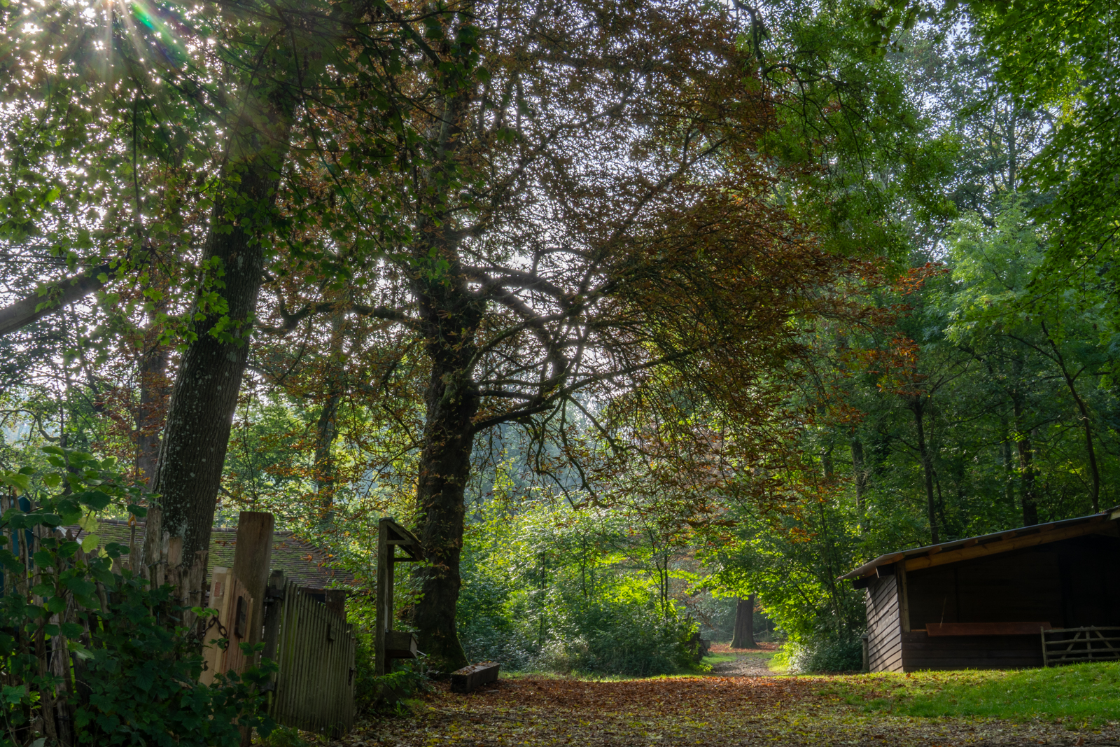Photography by Chris Allington